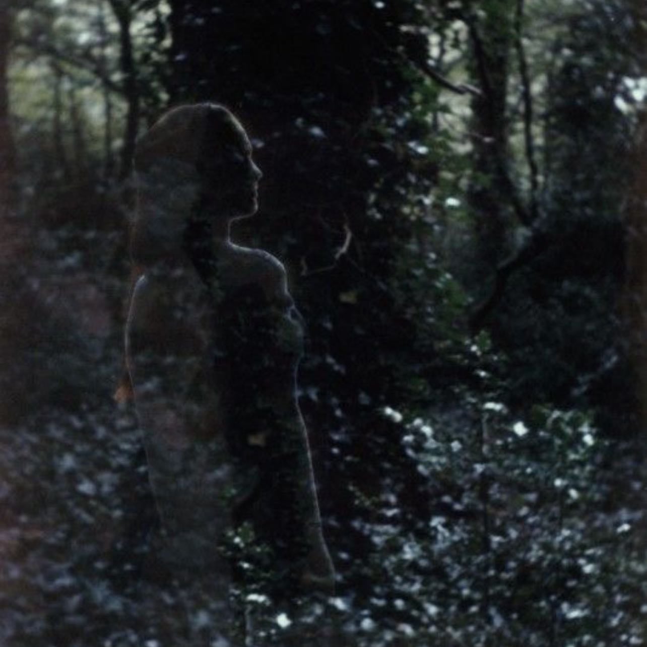 the lonely - magnus archives fear.
