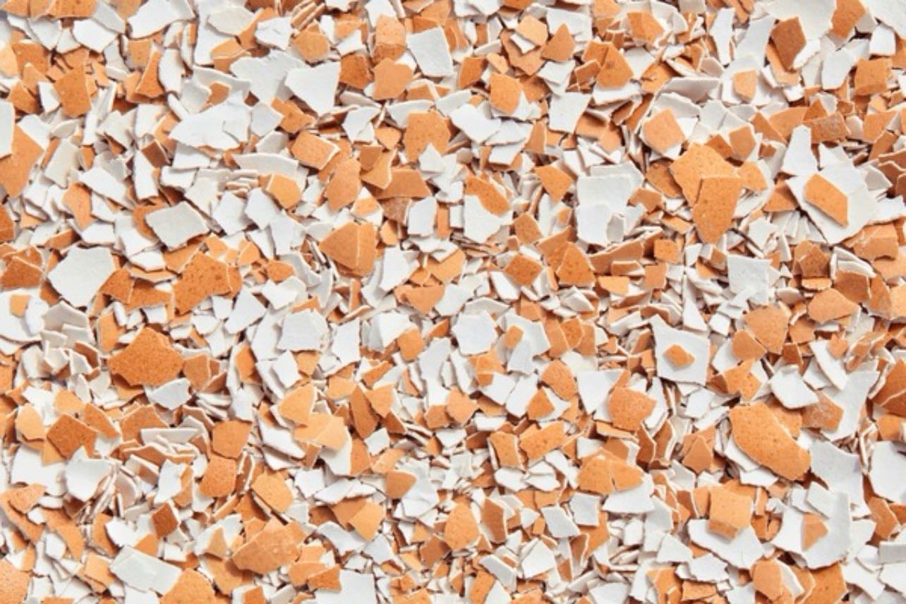 crushed egg shells