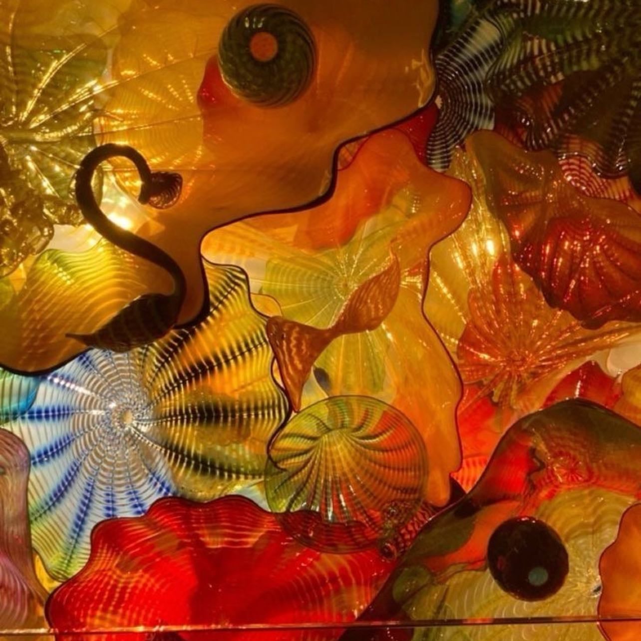 chihuly glass