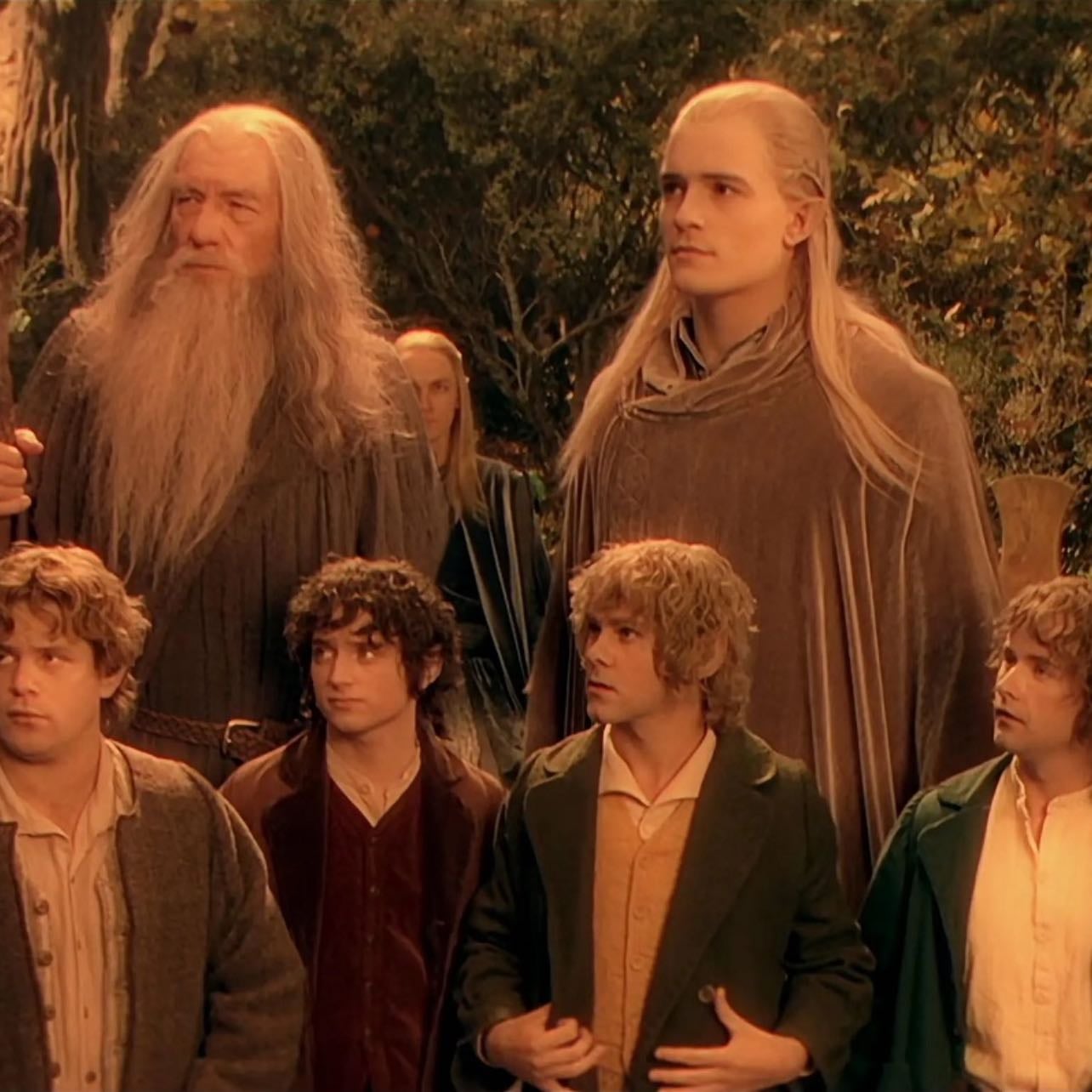 The Fellowship (Lord of the Rings) - the whole fellowship is just one big qpr. the only queer-coded or inherently romantic relationship between any of them is sam and frodo. the rest are all best friends and care about one another more than anything. the gentle masculinity that belongs to a lot of the fellowship is incredibly beautiful and rare.