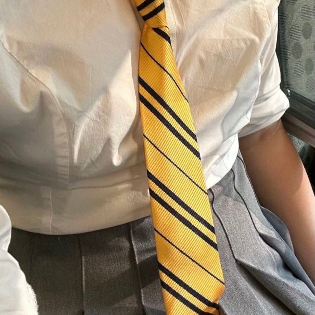 hufflepuff - hogwarts house.