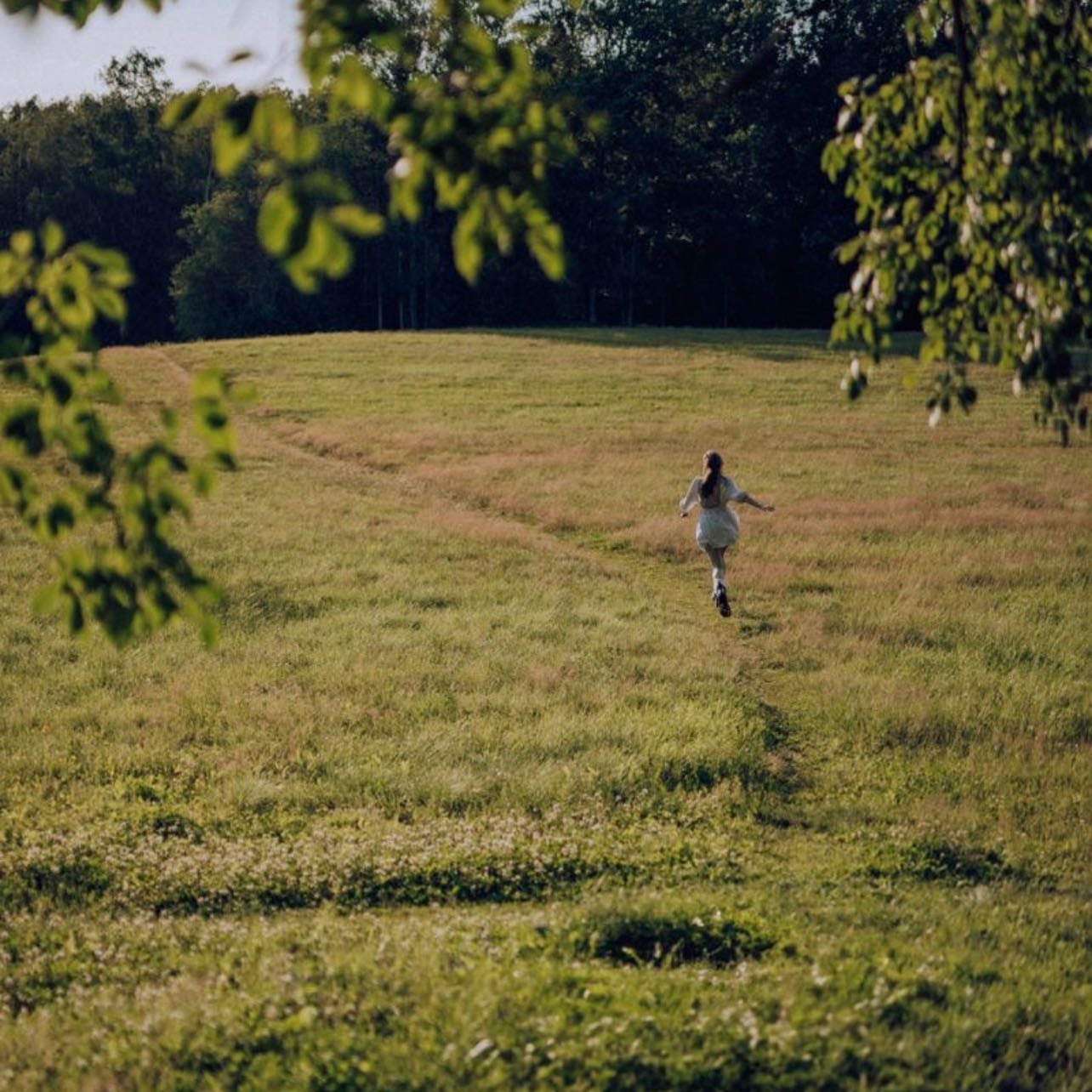 dog days are over - florence + the machine.