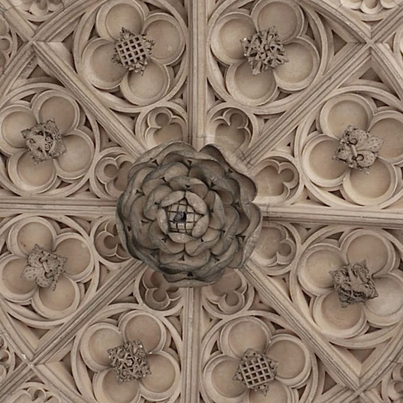 house tyrell - game of thrones house.