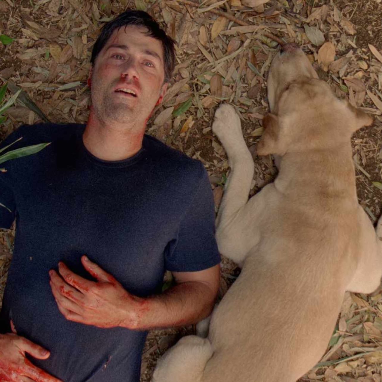 JACK SHEPHARD — Black Hole - “good day, good night, good talk, goodbye // it’s out of your hand, but have a nice flight”