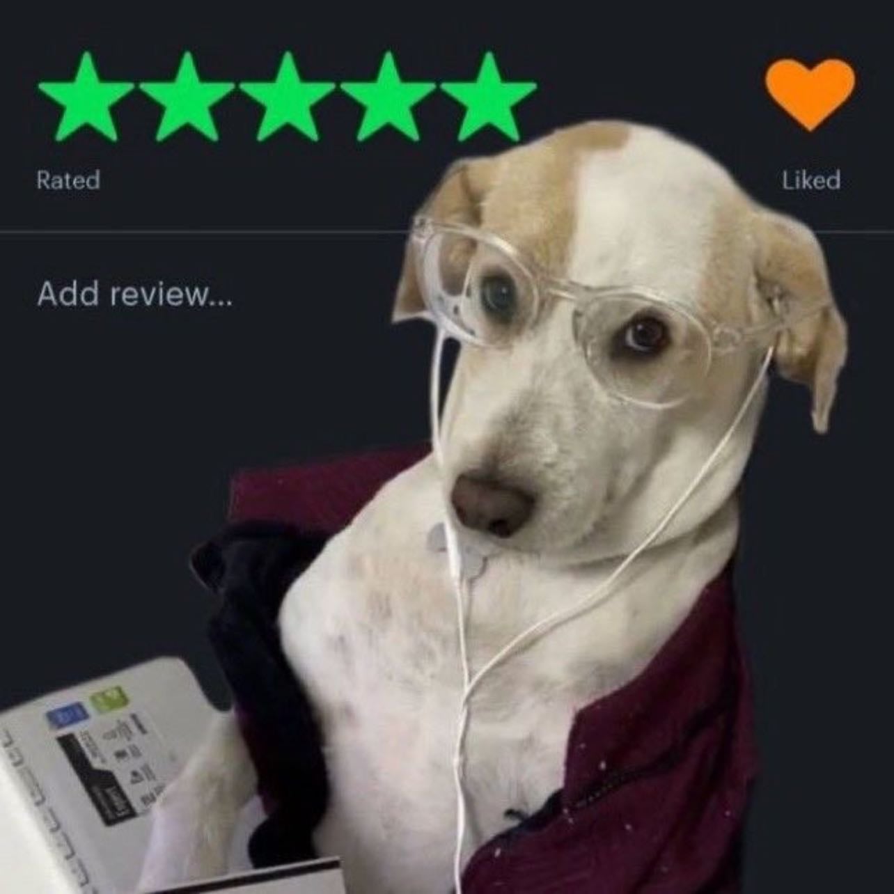 my letterboxd! - @everythingever