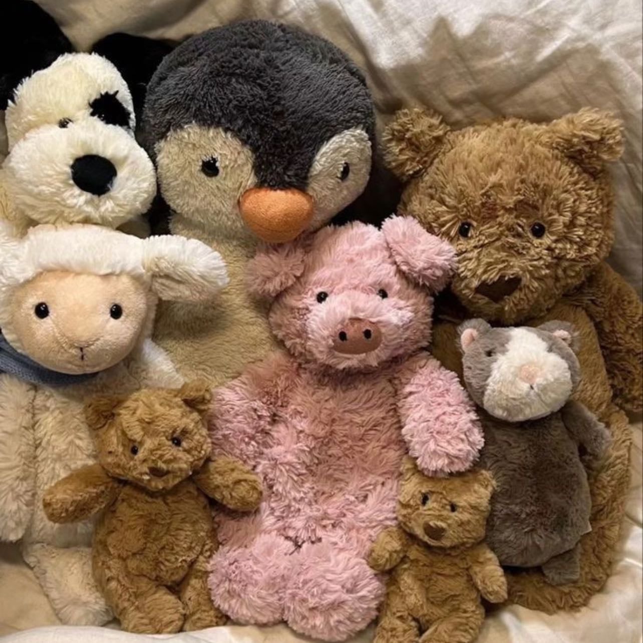 carrying around stuffed animals