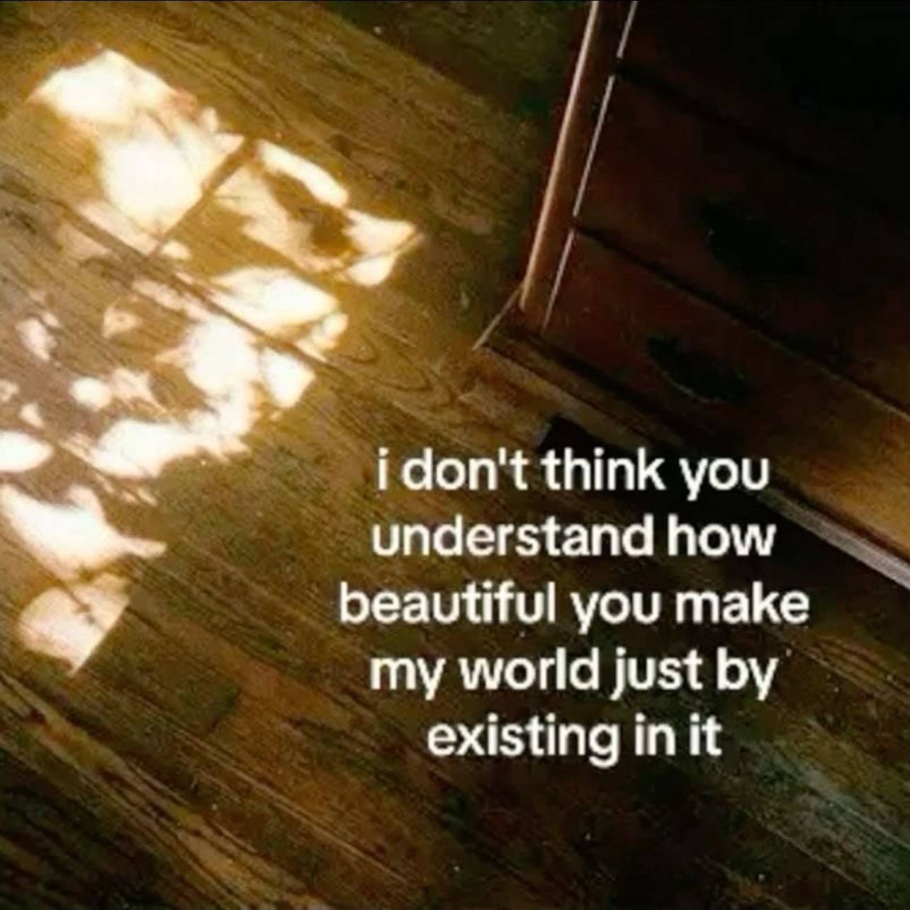sleep on the floor, dream about me - a wooden floor, covered in soft sunlight made even softer by our backs pressed to the ground side-by-side. we’re not alone.