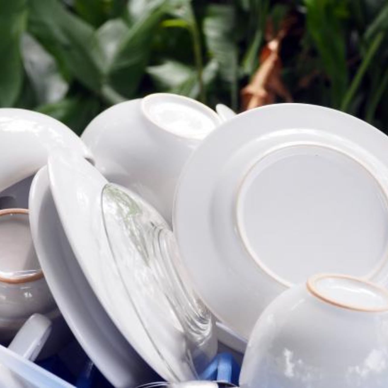 tell the dishes it’s bath time - they have to get clean somehow.