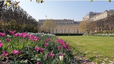 Jardin du Palais Royal - Love the vibe