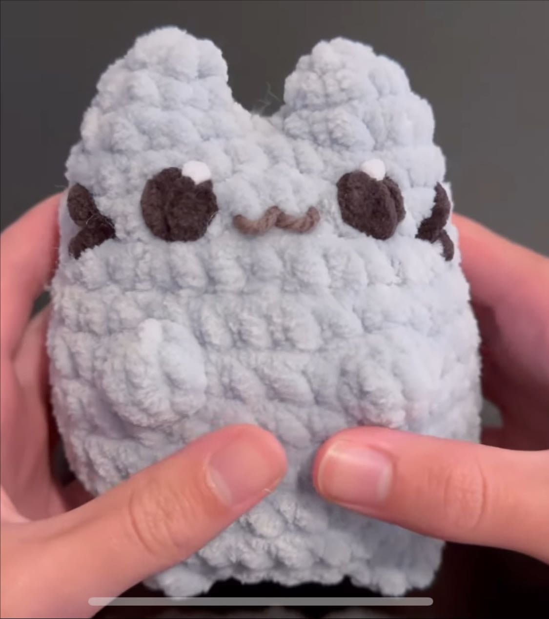 pusheen cat 🐱