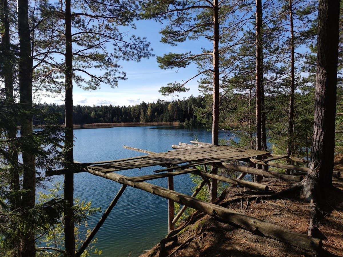 Seljametsa järv