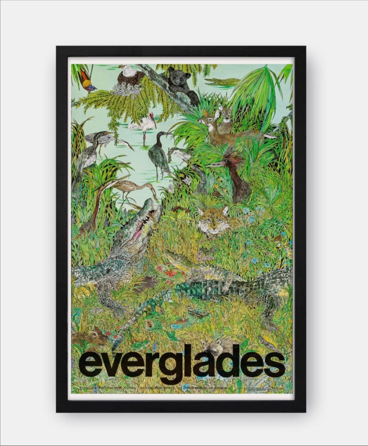 Everglades Framed Poster - $65.00