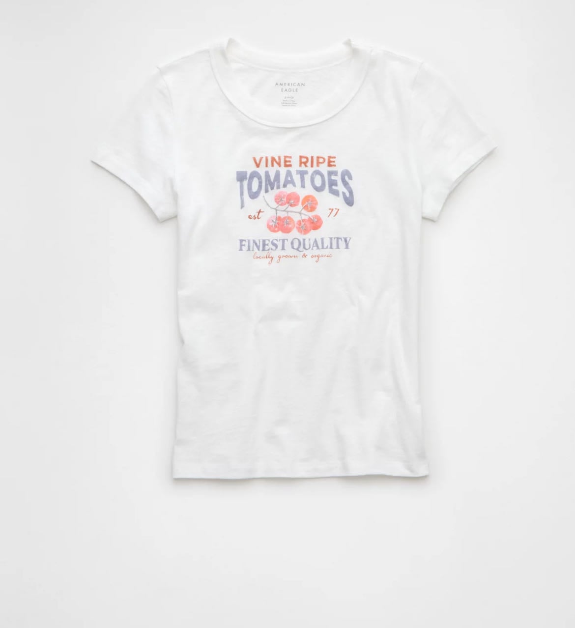 AE Food Graphic Hey Baby Tee - $19.95
