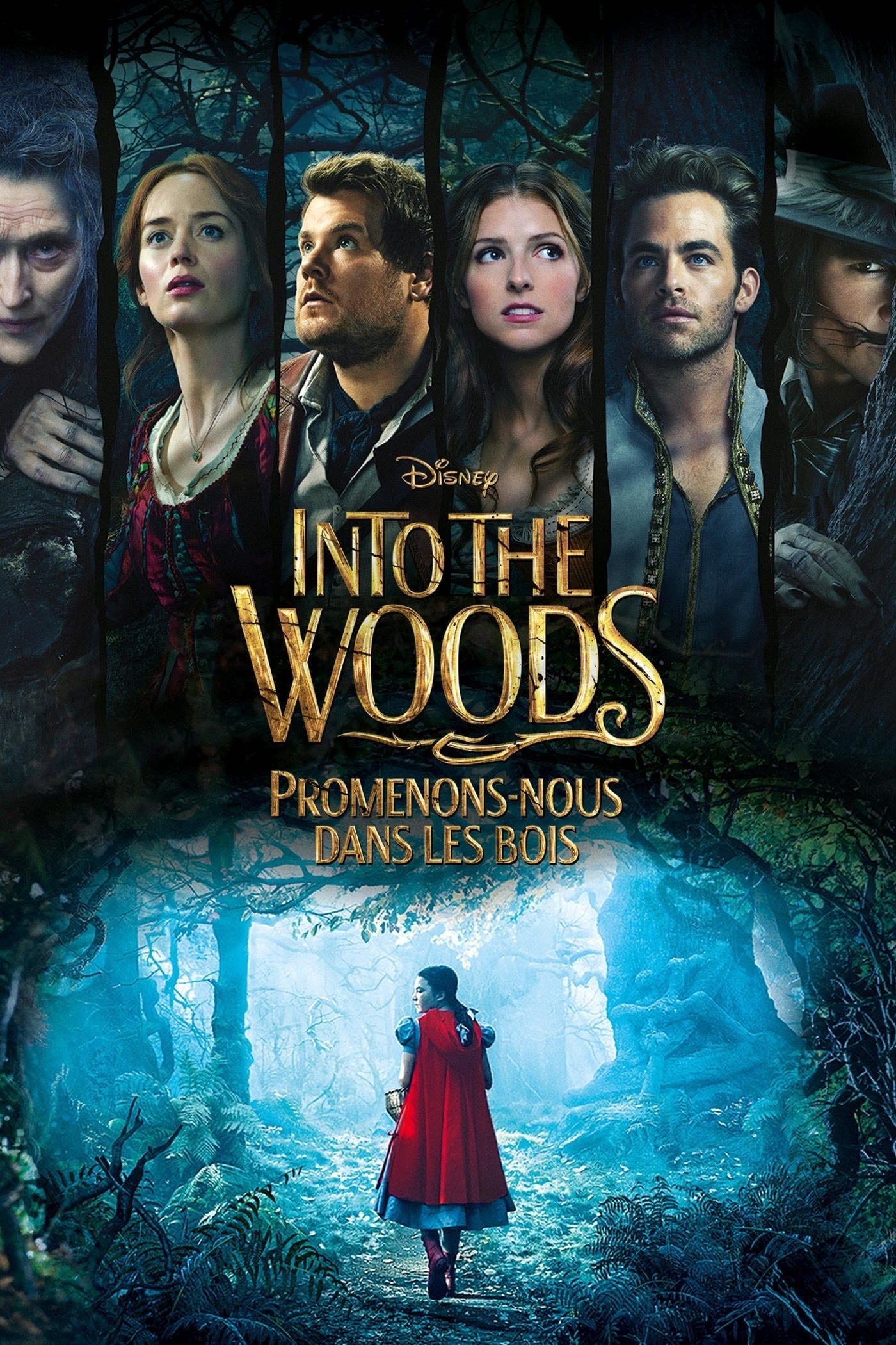 Into the Woods : Promenons-nous dans les bois - Rob Marshall · 2014