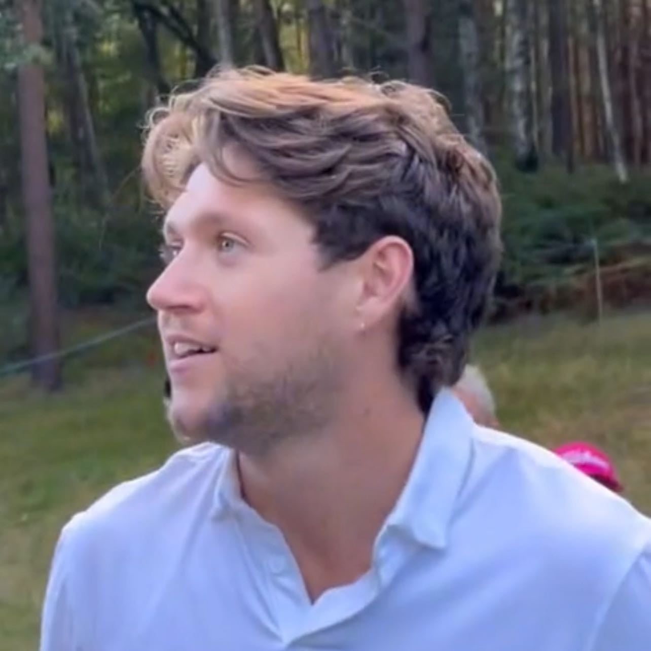 GOLF NIALL - OMG THE HAIRRR, the sparkle in his eyes, the SIDE PROFILE IS DIVINE and the lighting and everything about it (the video too) is just impeccable