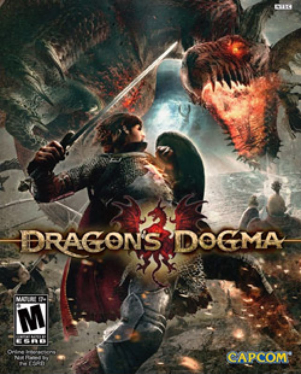 Dragons Dogma