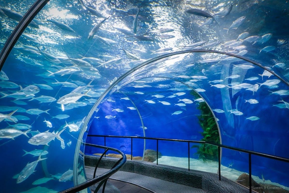 AQUARIUM
