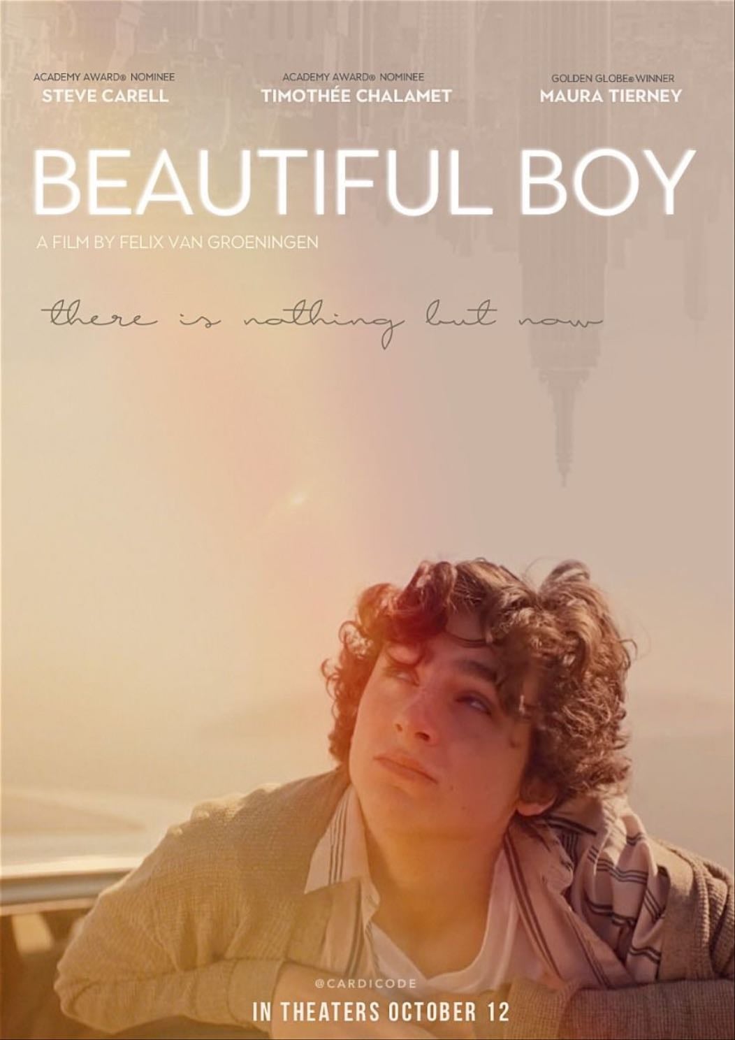 Beautiful Boy - Felix van Groeningen · 2018