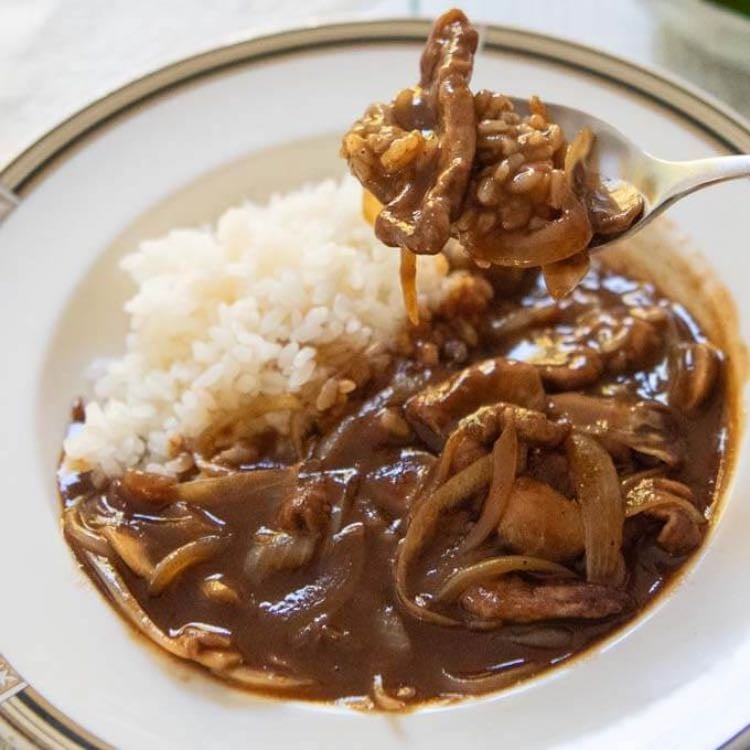 Hayashi rice