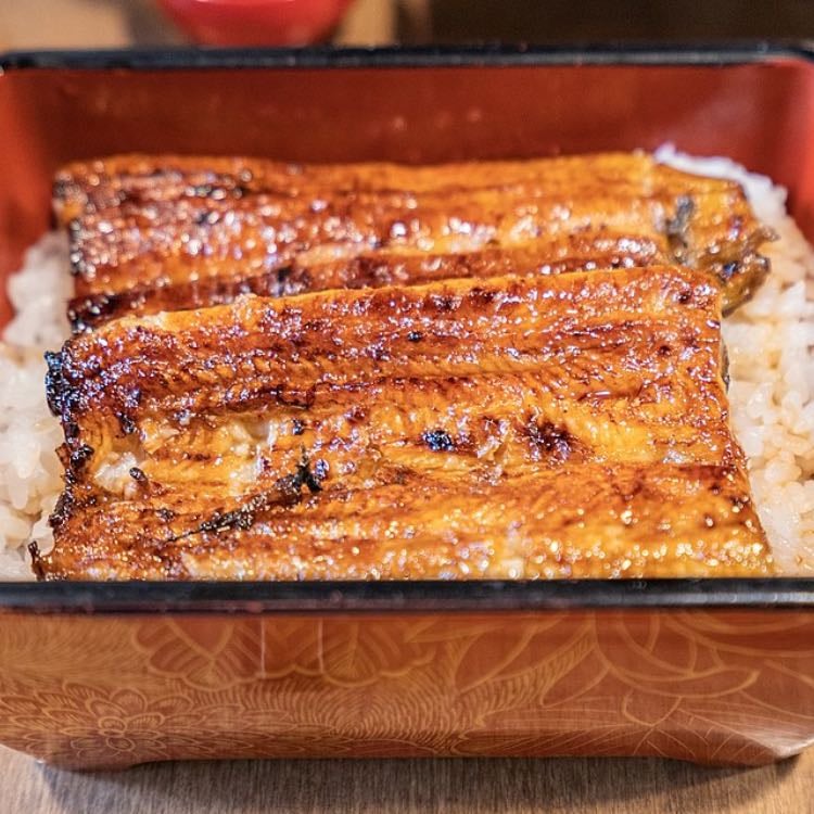 Unagi