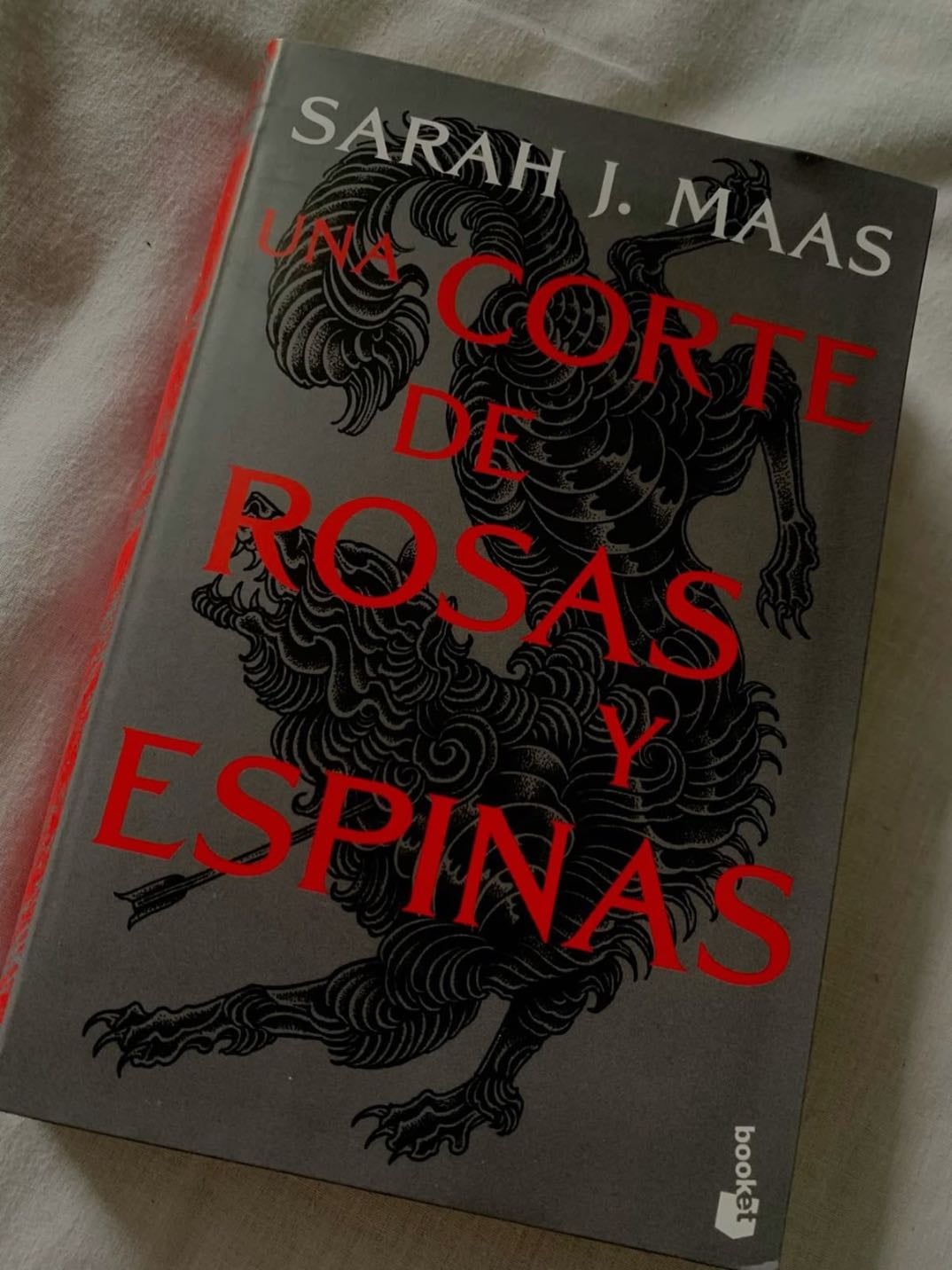 Corte De Rosa y Espinas - Sara J. Maas
