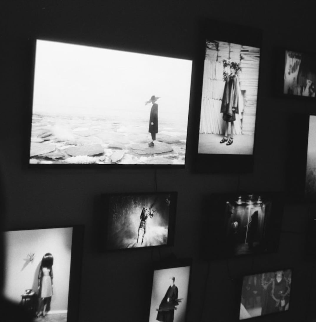 Movies/Shows watched