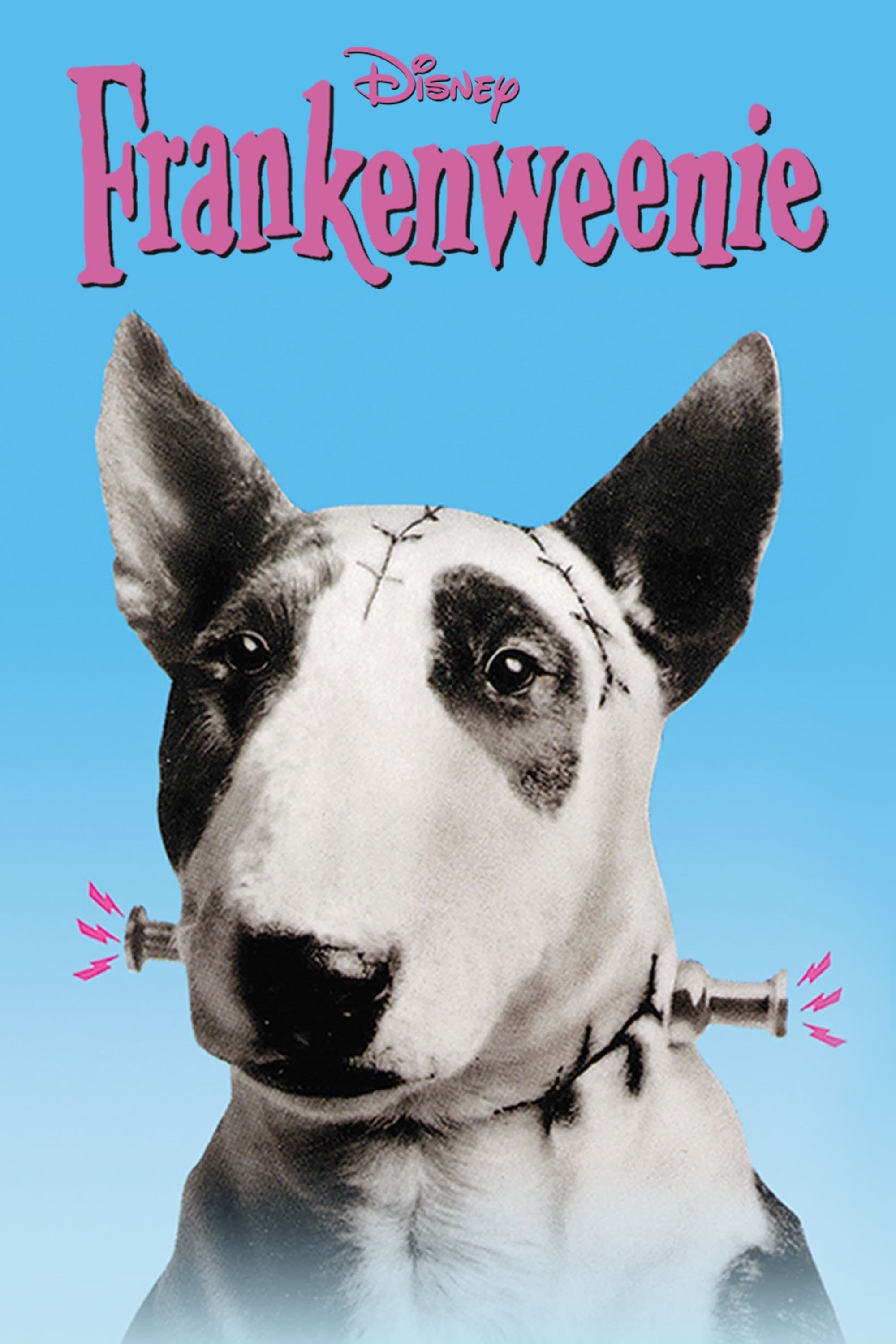 Frankenweenie - Tim Burton · 1984