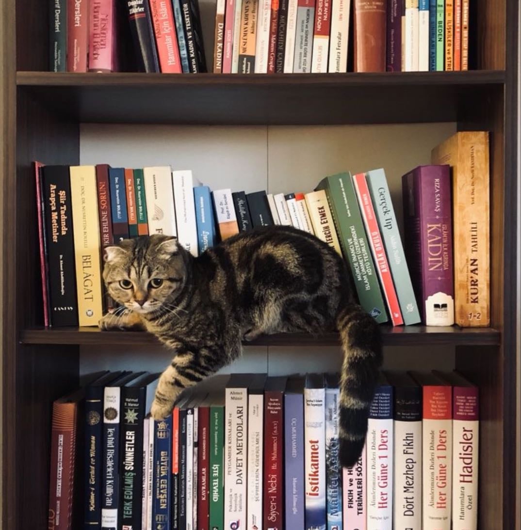 Libros por leer