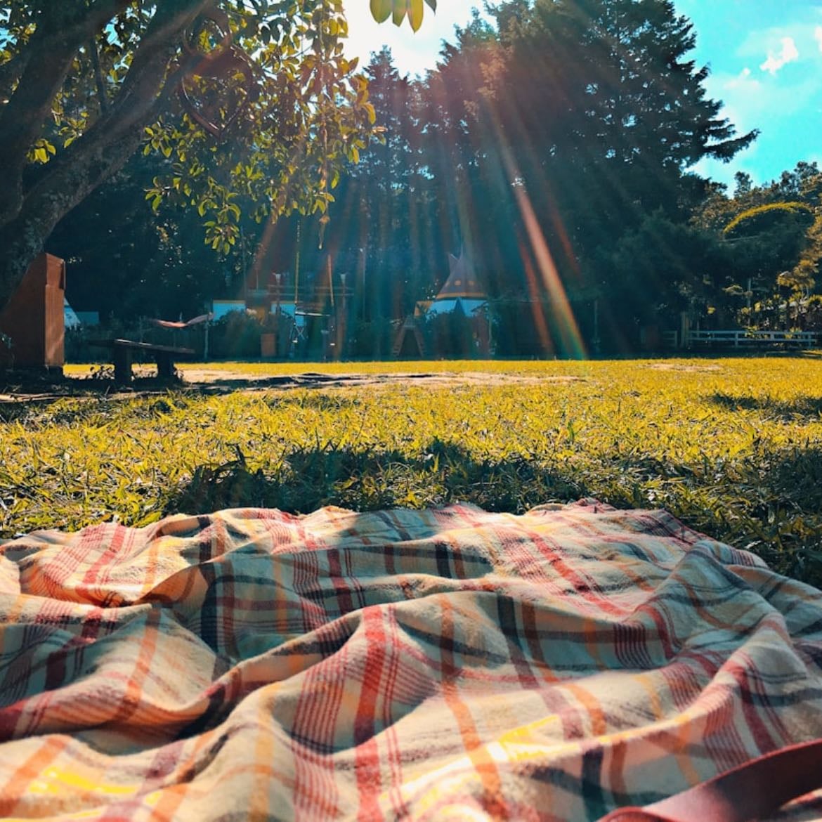 Picnic - Llevar lienzos para pintar y comida