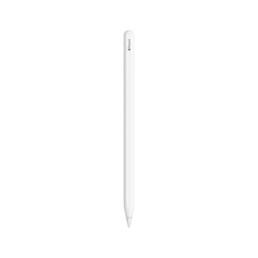 caneta ipad