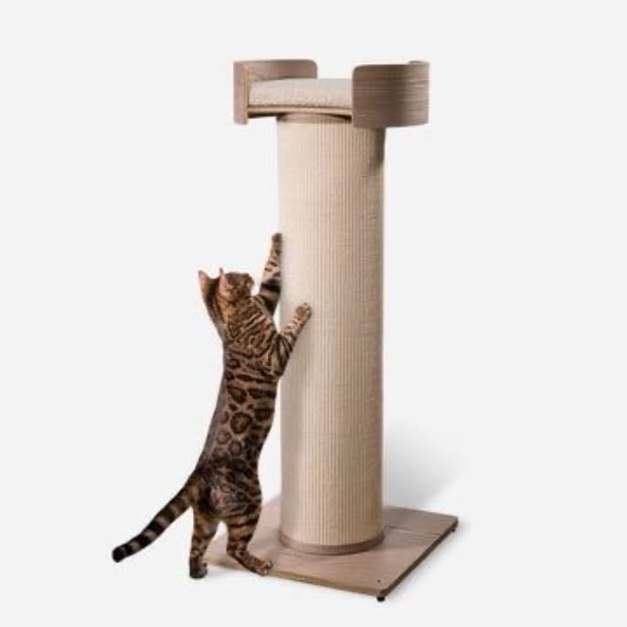 πΎ scratching post πΎ