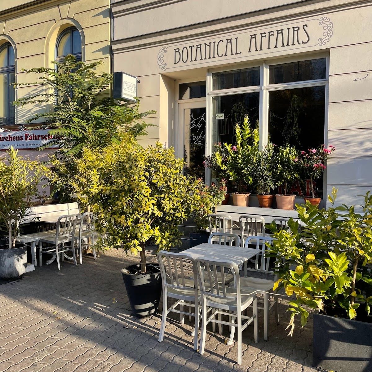 BOTANICAL AFFAIRS