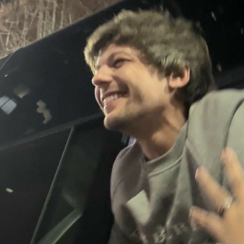 Louis Tomlinson - Artist