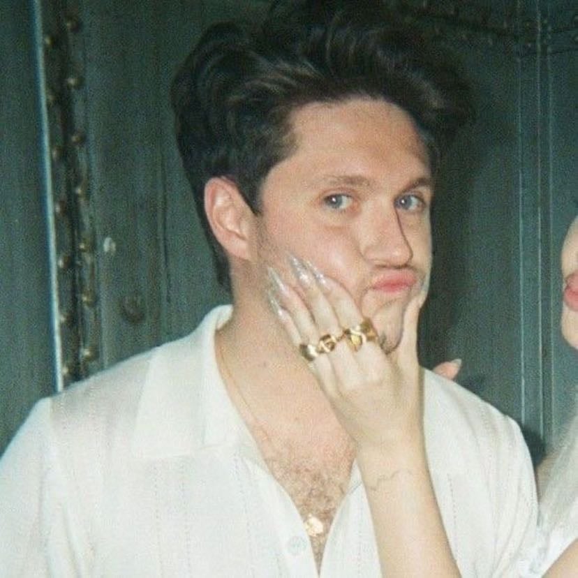 Niall Horan - Artist