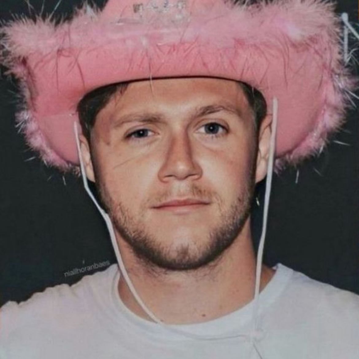 niall horan π©΅ - Artist