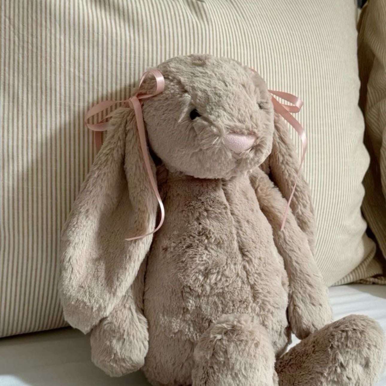 Stuffed animals - Un peluche de su animal favorito que pueda tener sobre su cama y abrazar al dormir