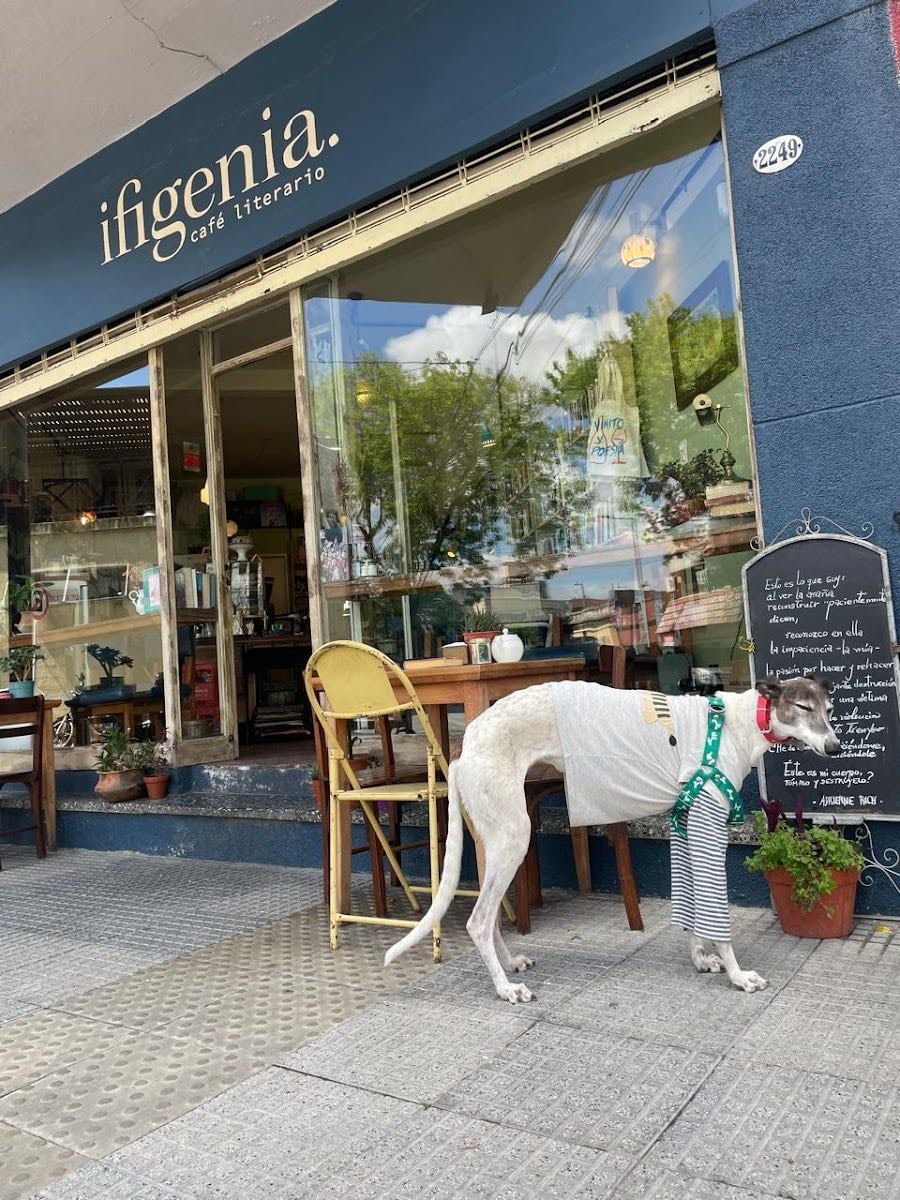 ifigenia Café