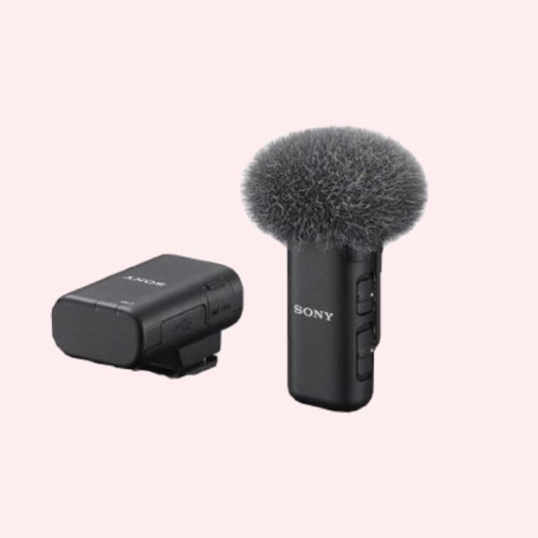 mic