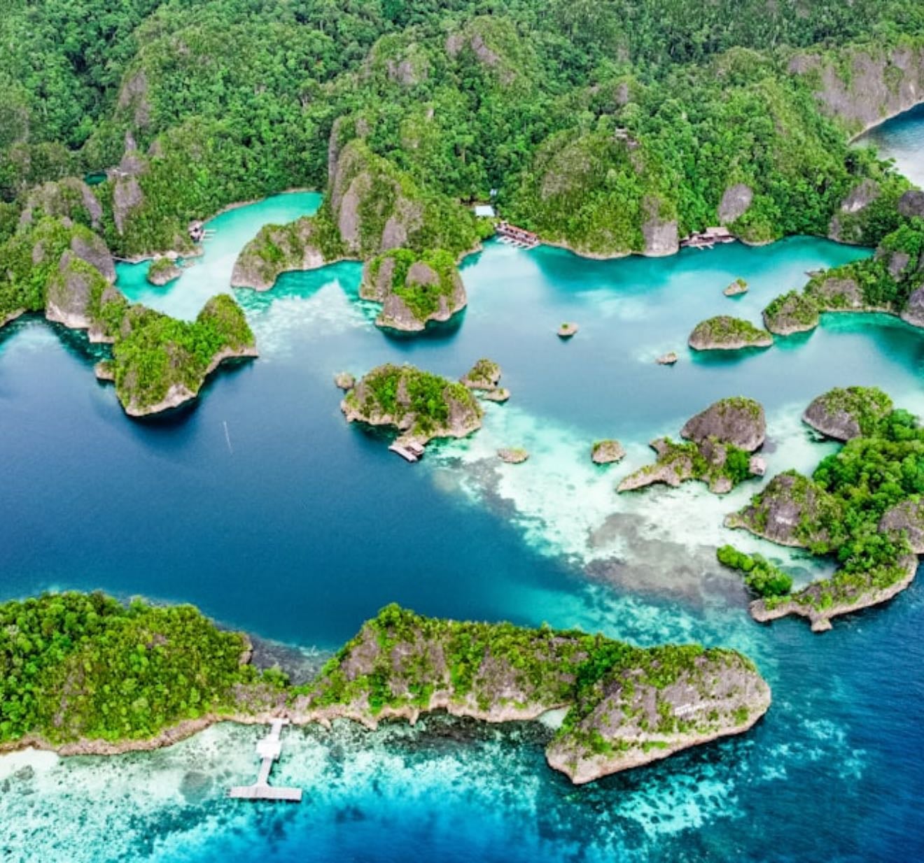 Papua ๐ฎ๐ฉ