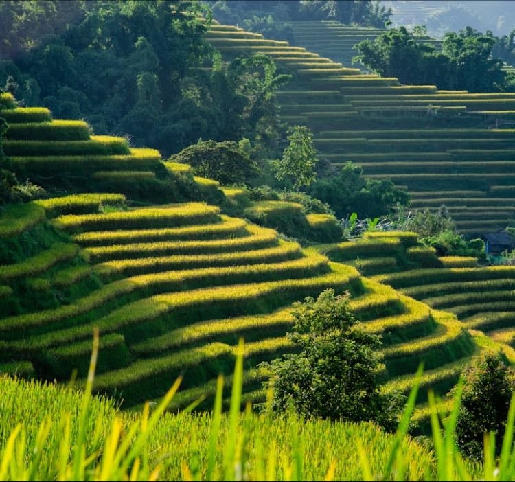 Sapa 🇻🇳