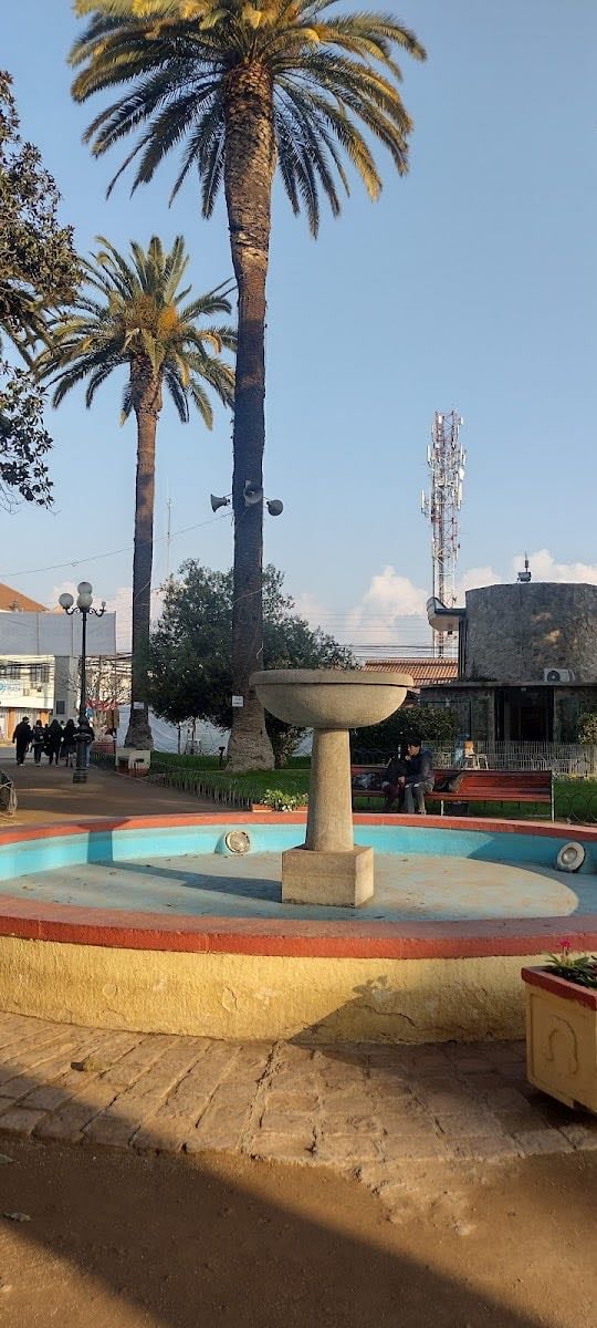 San Vicente de Tagua Tagua