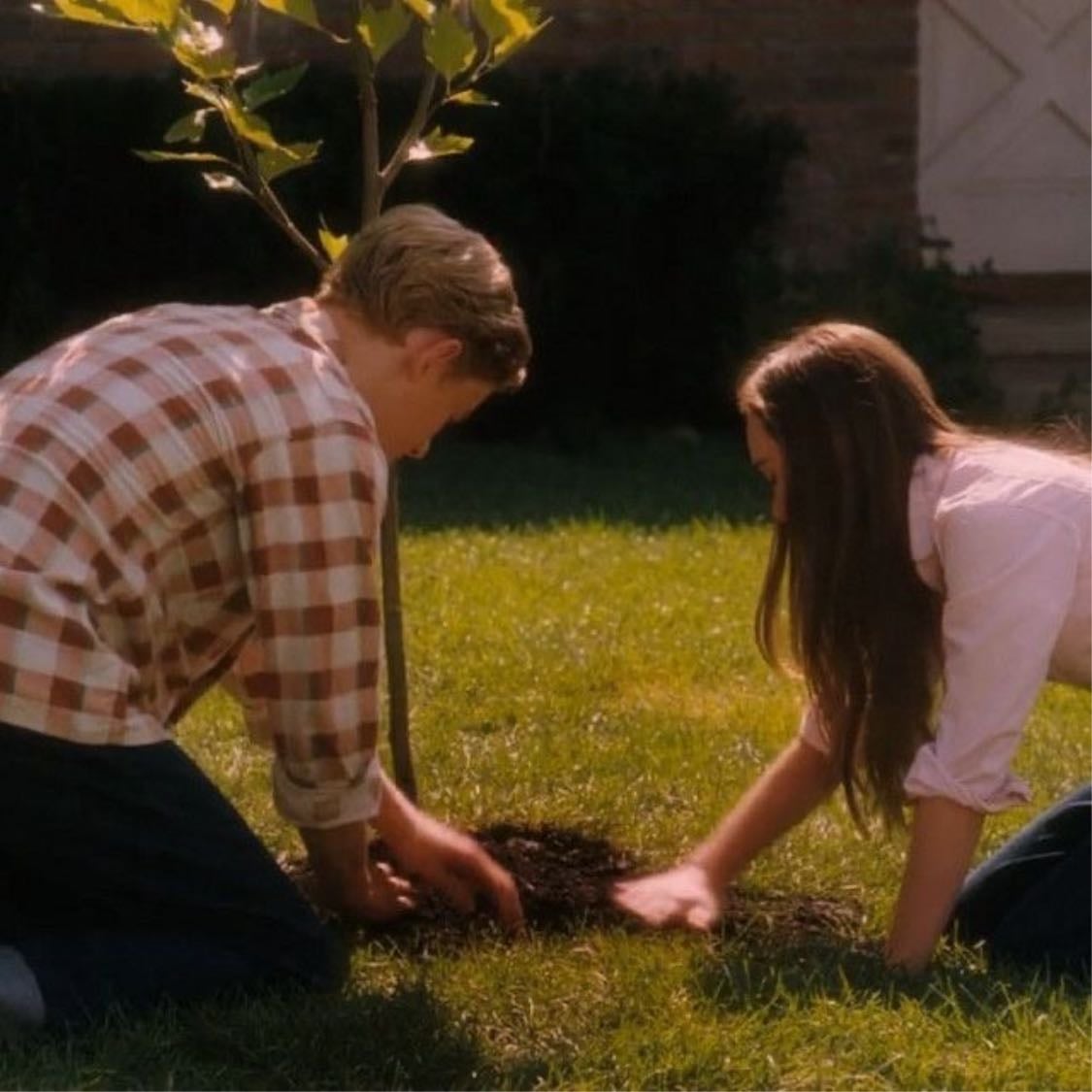 Flipped - Rob Reiner · 2010