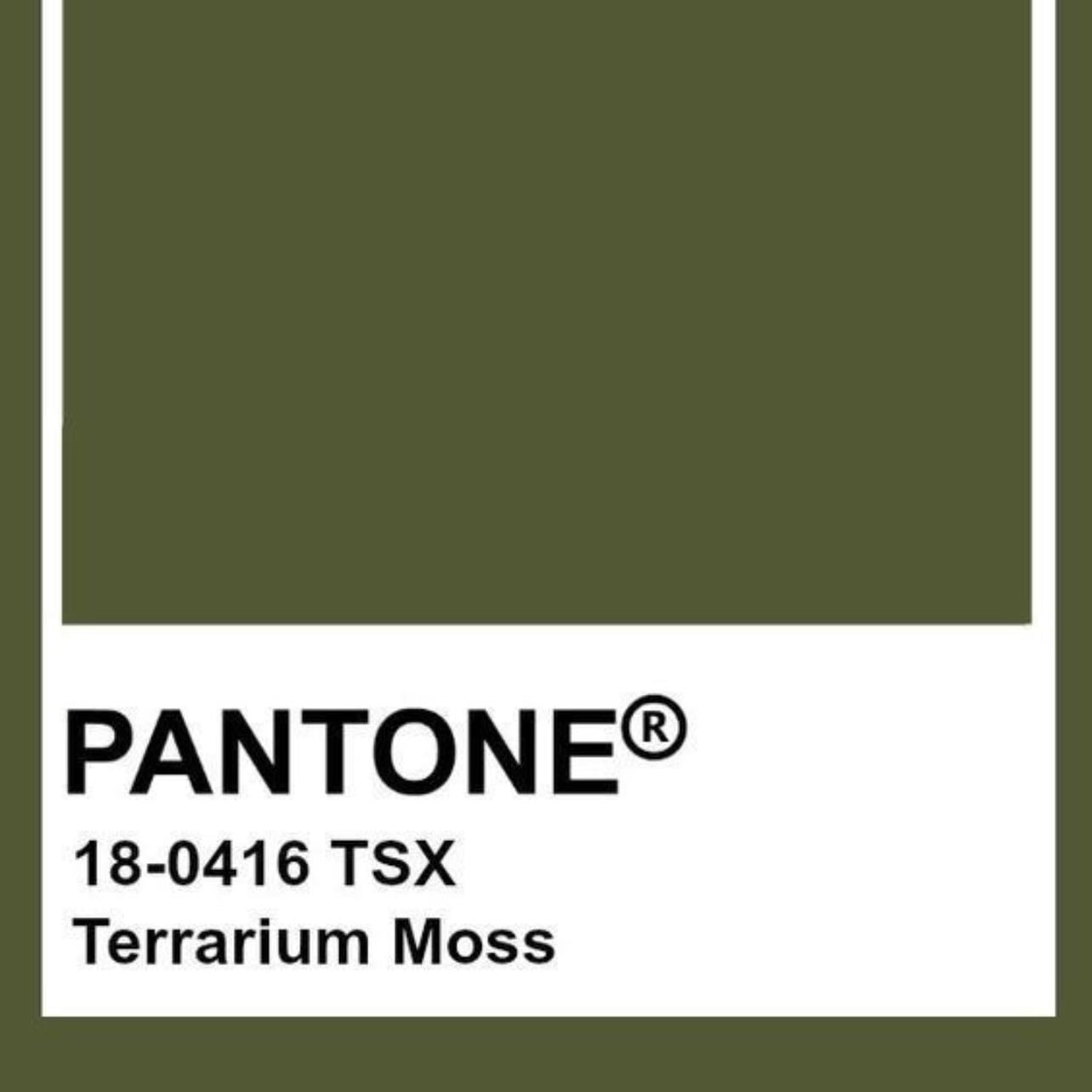 Terrarium Moss - Pantone