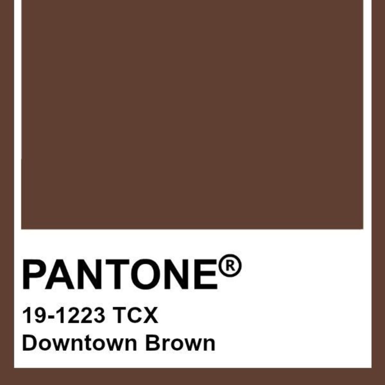 Downtown brown - Pantone
