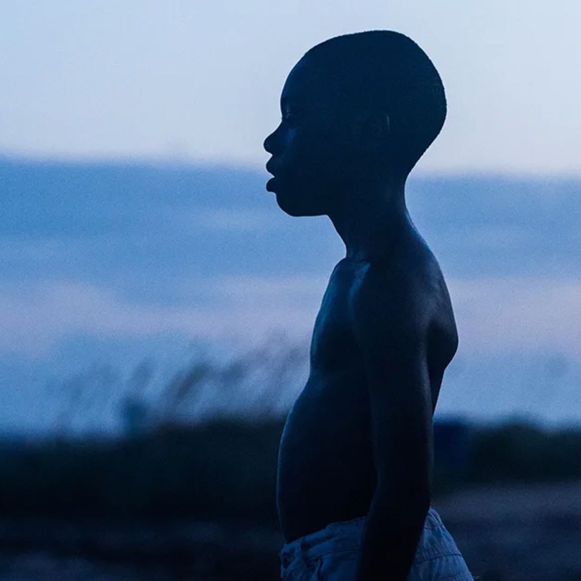 Moonlight - Barry Jenkins · 2016