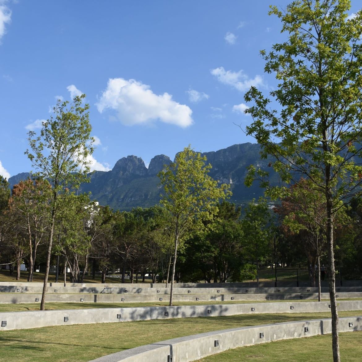 Parque Bosques Del Valle - mi favorito !!