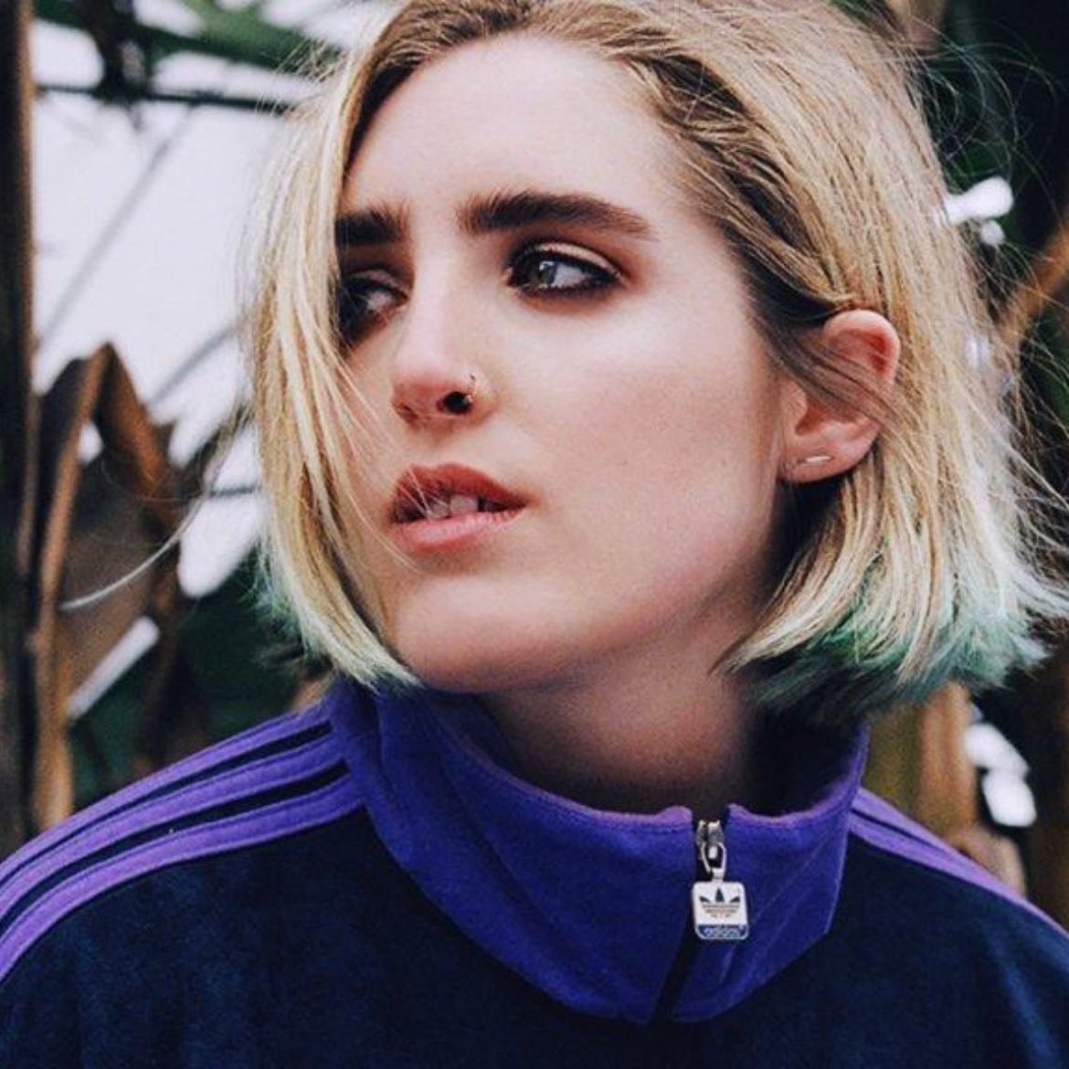 Shura