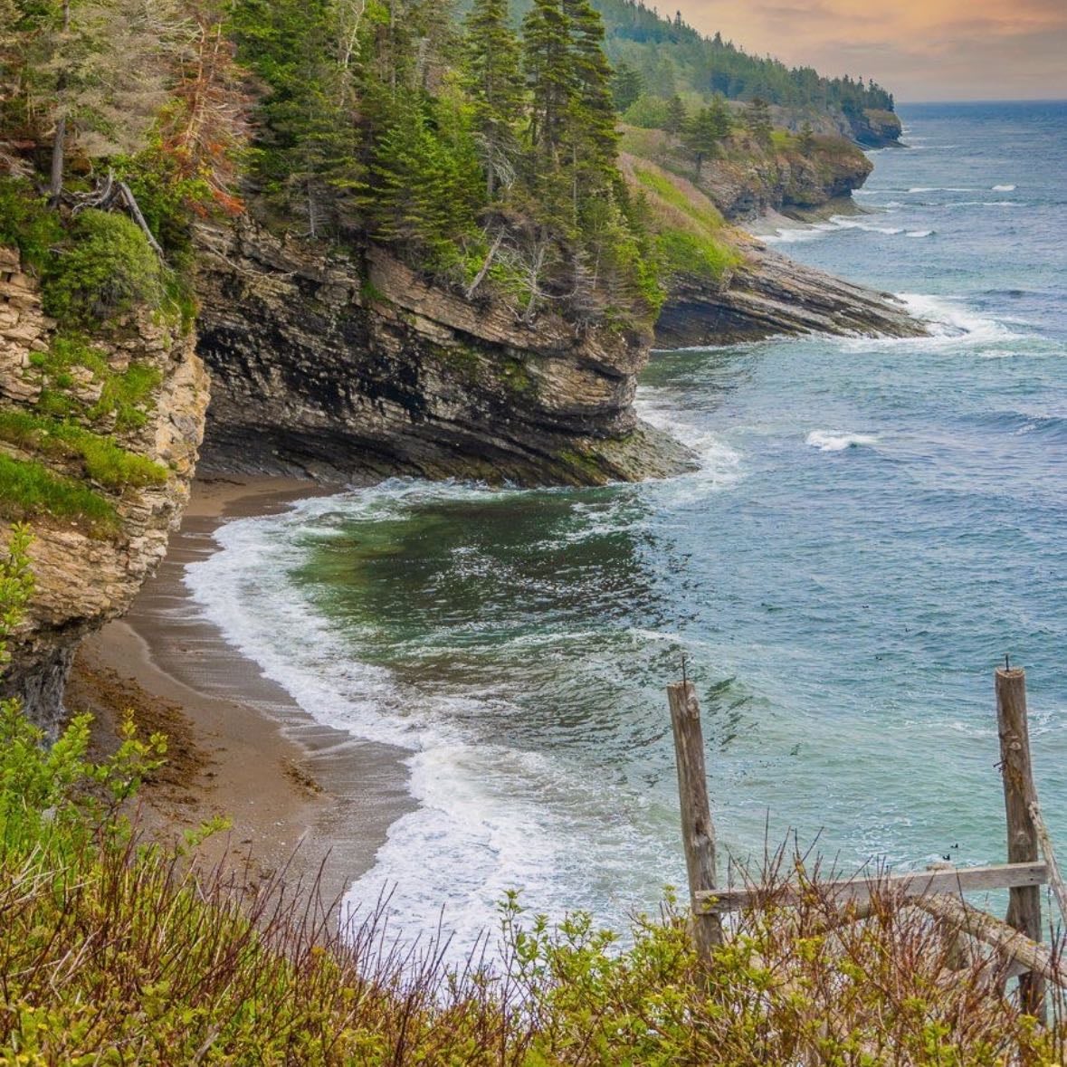 gaspesie