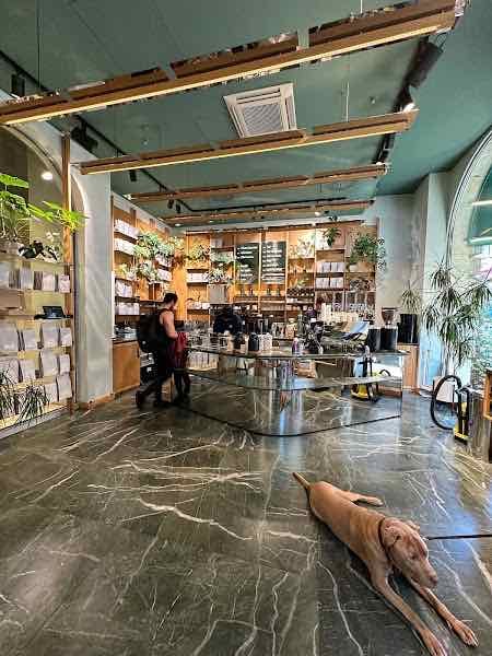 Bonanza Coffee Roasters Gendarmenmarkt
