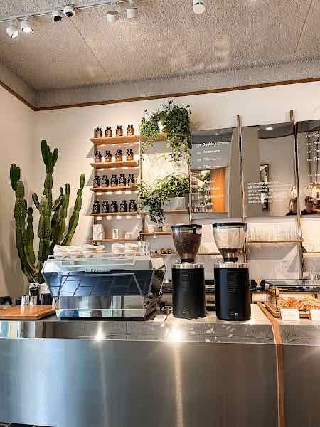 Bonanza Coffee Mitte